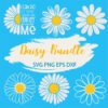 Daisy bundle