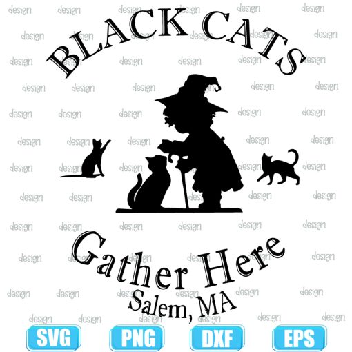 Black Cats Gather Here Salem Ma Halloween Witch